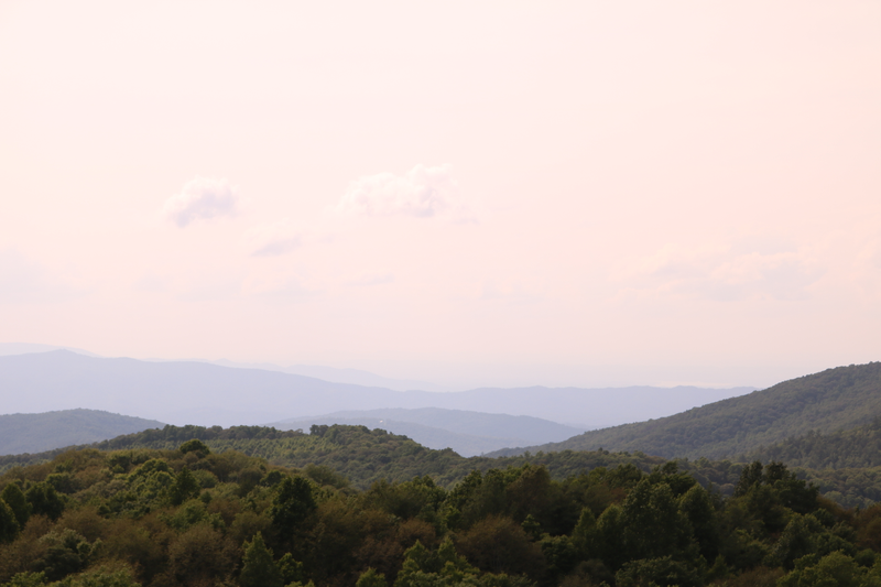 Illustration for article titled Max Patch Mountain, NC